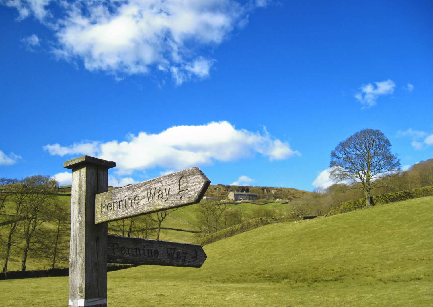 Pennine Way Run